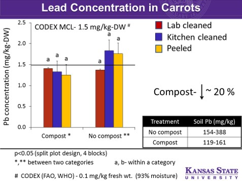 Lead Concentration in carrots
